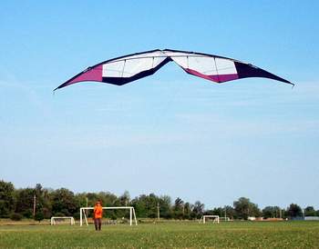 Wings Over The Red Kite Club